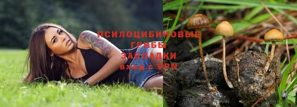 соль курить ск Арсеньев